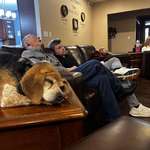 image for Must be the tryptophan