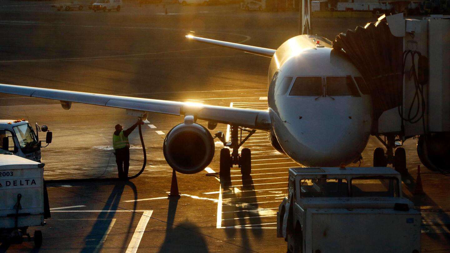 image for College freshman is deported flying home for Thanksgiving surprise, despite court order