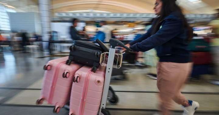 image for Canadian air passenger traffic to U.S. down for 9th consecutive month - National