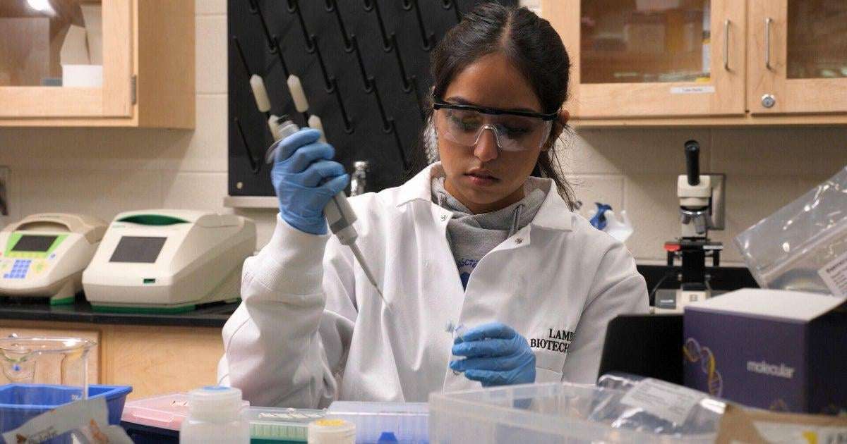 image for Teens may have come up with a new way to detect, treat Lyme disease using CRISPR gene editing