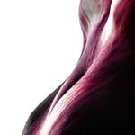 image for This frame is from my latest body-paint shoot