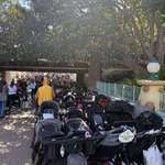 image for [OC]A fraction of the strollers lining the walkways of Disneyland during one of their slowest weeks