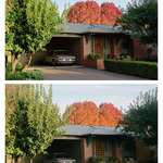 image for Film (bottom) vs digital (top)