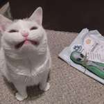 image for I think Puddy is happy with today's Katnip delivery [OC]