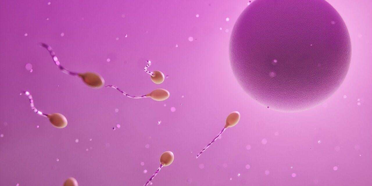 image for Sperm Donor Carrying Rare Cancer-Causing Gene Fathers Nearly 200 Children