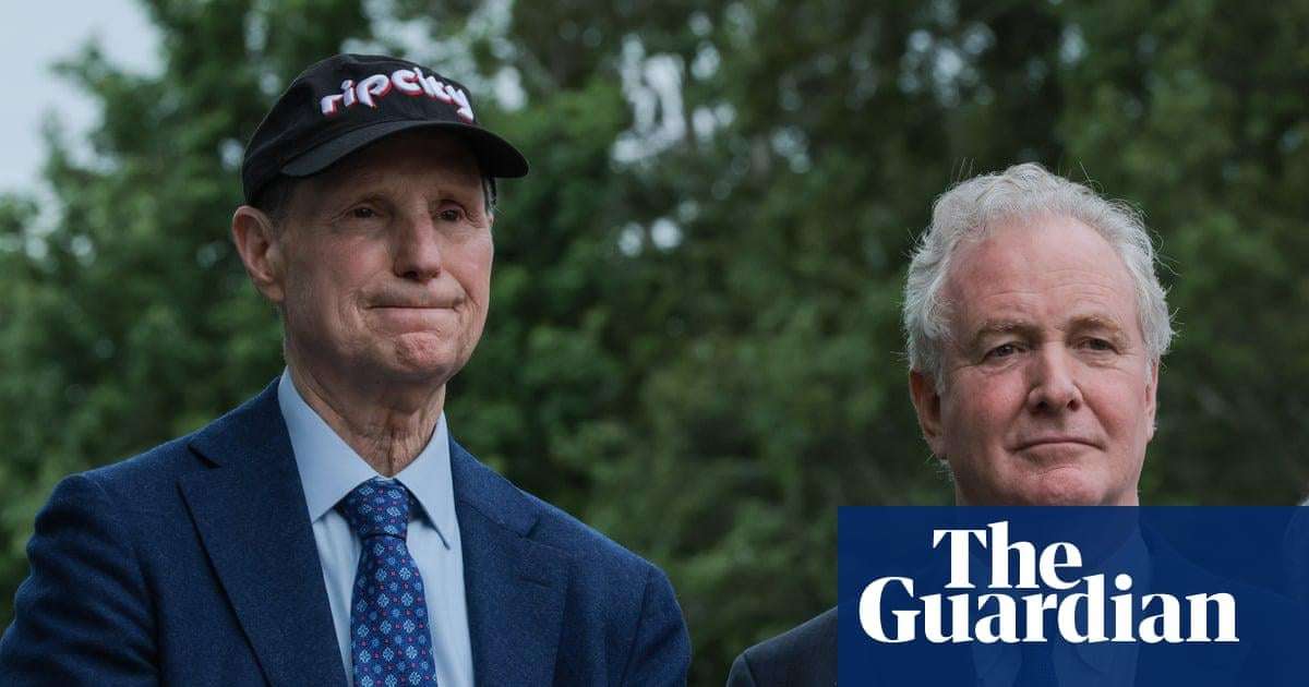 image for Top Democrats call for investigation into share-buying spree by Trump allies