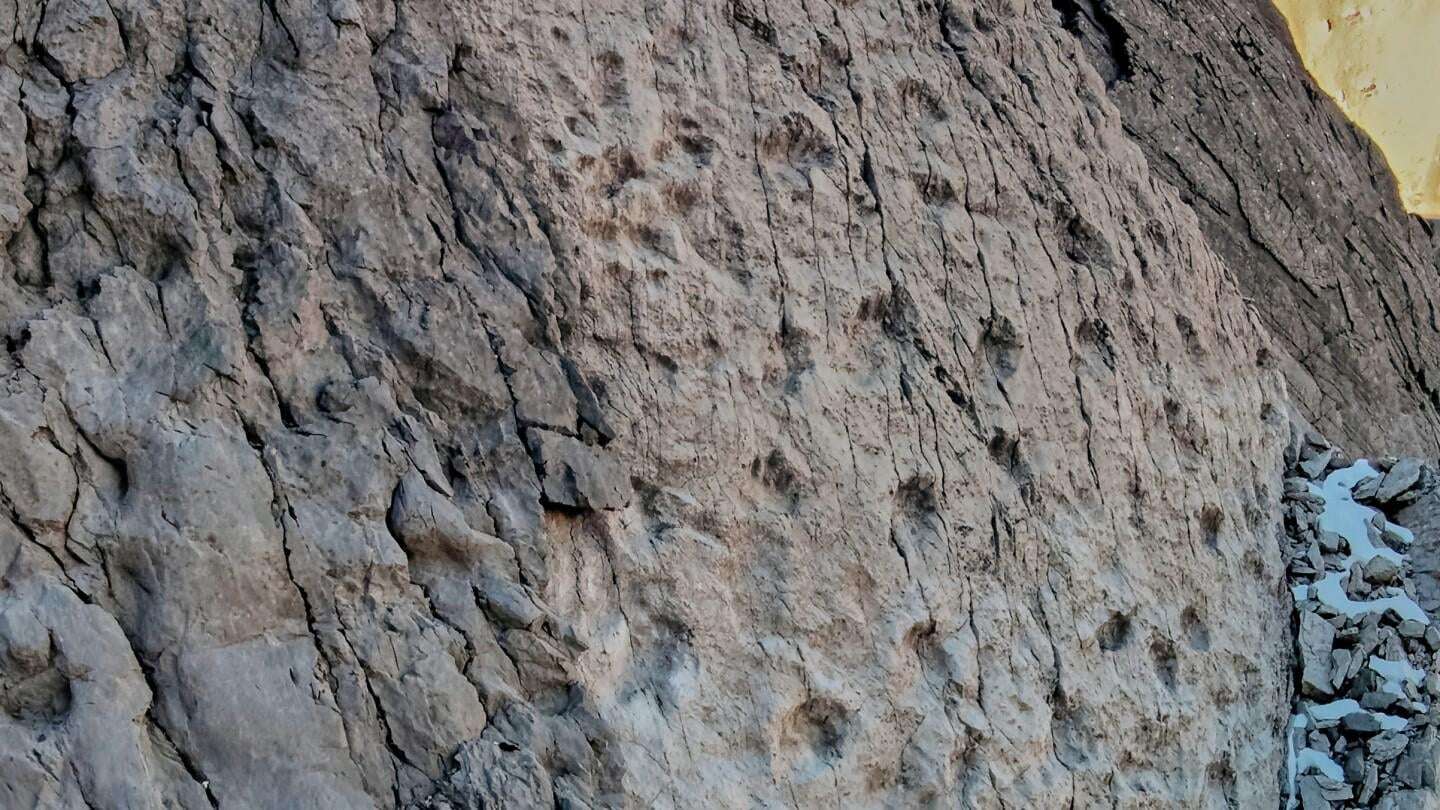 image for A photographer finds thousands of dinosaur footprints near Italian Winter Olympic venue