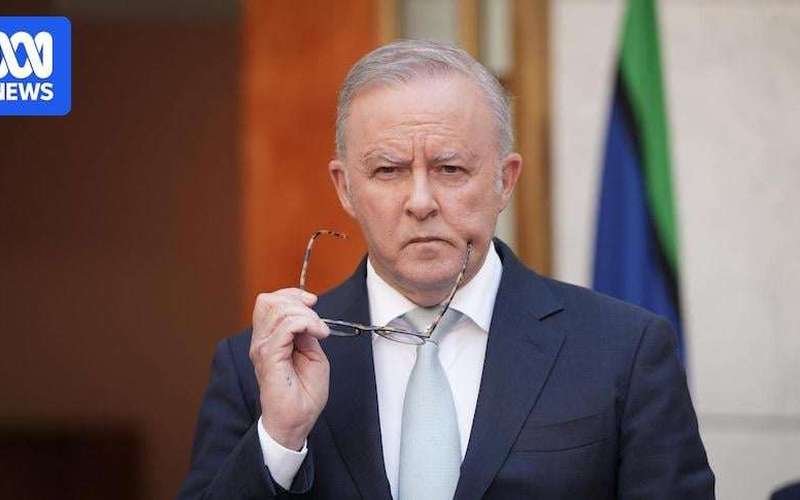 image for Prime minister announces 'largest' gun buyback scheme since Howard era