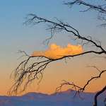 image for Looks like the cloud is resting on the tree branch (OC)