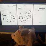 image for Piggy in front of some text on a screen - the text will be linked in comments for reference