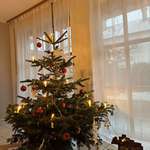 image for Kids are waiting for the sun to go down on Christmas Eve - Merry Christmas everybody from Bavaria.