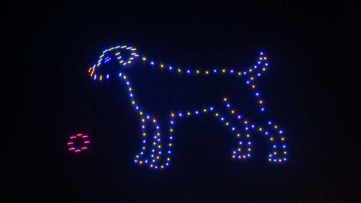 image for New Year's Eve: German Animal Welfare Association calls for an end to private fireworks