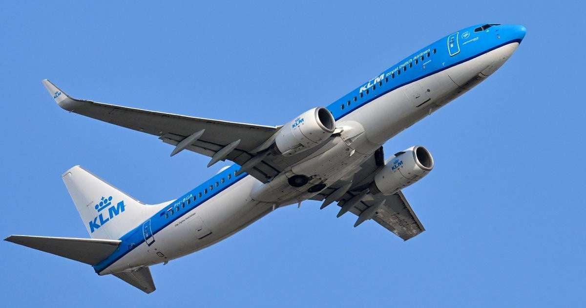 image for Virginia family says they were swarmed and bitten by bedbugs on flight, sue Delta and KLM airlines