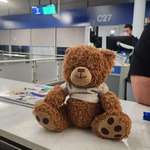 image for Well-loved bear left at gate C27 at Chicago O'Hare yesterday