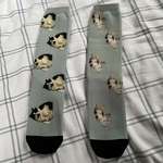 image for Got a pair of socks with my cat for Christmas. Anyone know whose dog this is & where my cat sock is