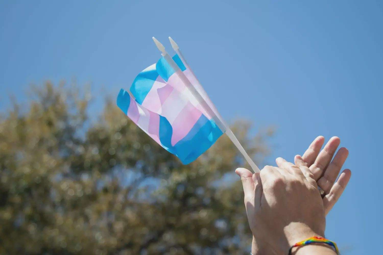 image for The state is making a list of transgender Texans. It’s using driver’s licenses to help – Houston Public Media