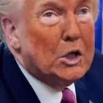 image for America’s president
