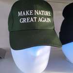 image for Found an interesting hat