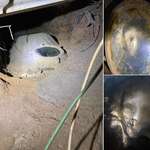 image for A Fisk iron coffin containing the body of a woman. Mould spores now cover her face