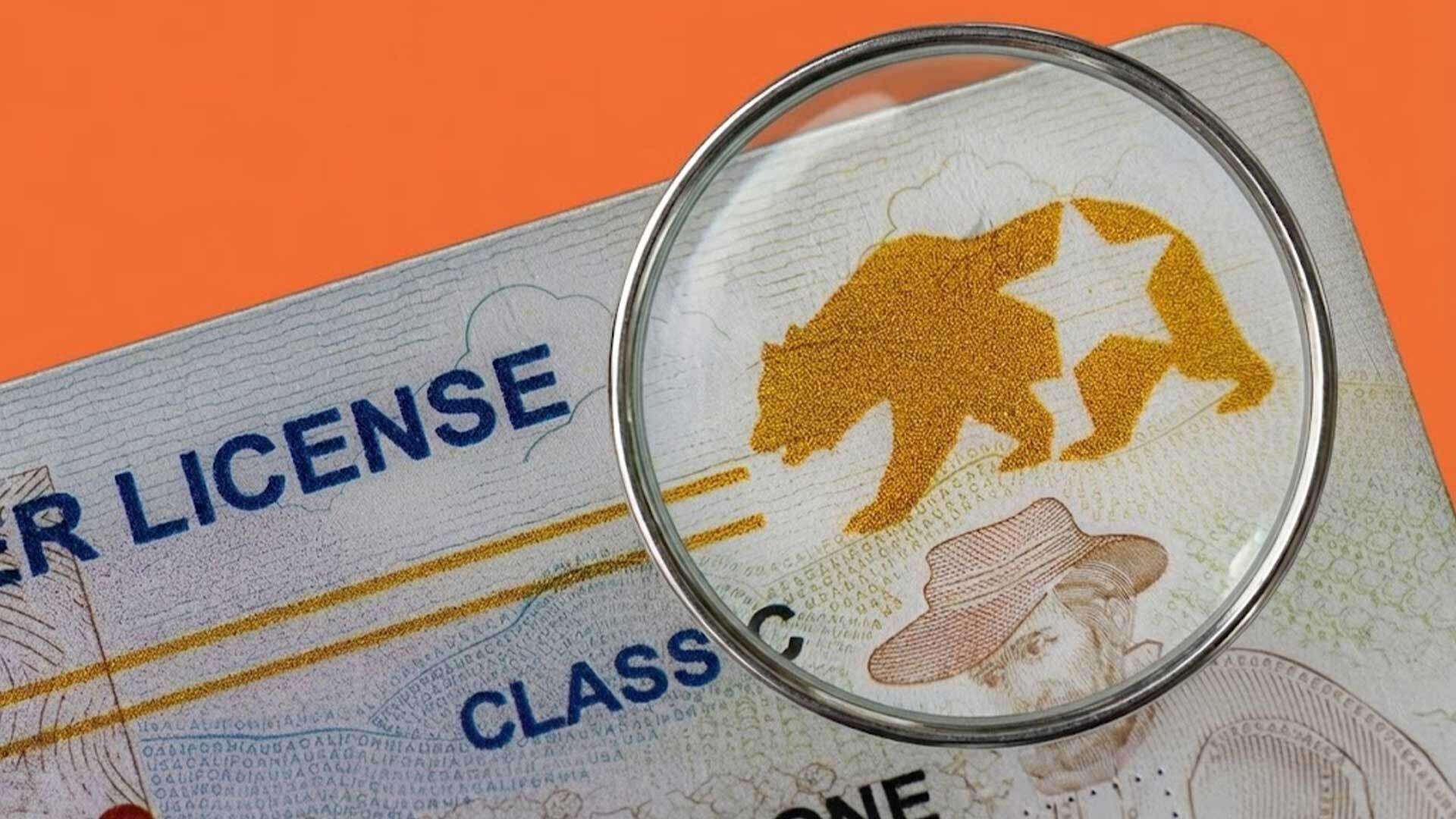 image for DHS Says REAL ID, Which DHS Certifies, Is Too Unreliable To Confirm U.S. Citizenship