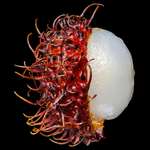 image for [OC] Don’t judge a book by its cover. Rambutan...alien like but beautiful inside. Its delicious!!!