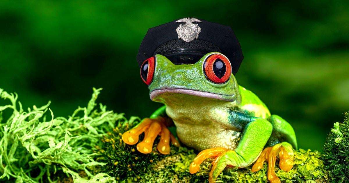 image for Cops Forced to Explain Why AI Generated Police Report Claimed Officer Transformed Into Frog