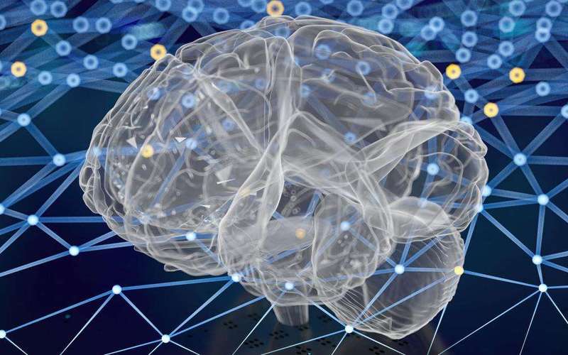 image for New study shows Alzheimer’s disease can be reversed to achieve full neurological recovery—not just prevented or slowed—in animal models