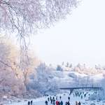 image for Some people ice skating in Calgary