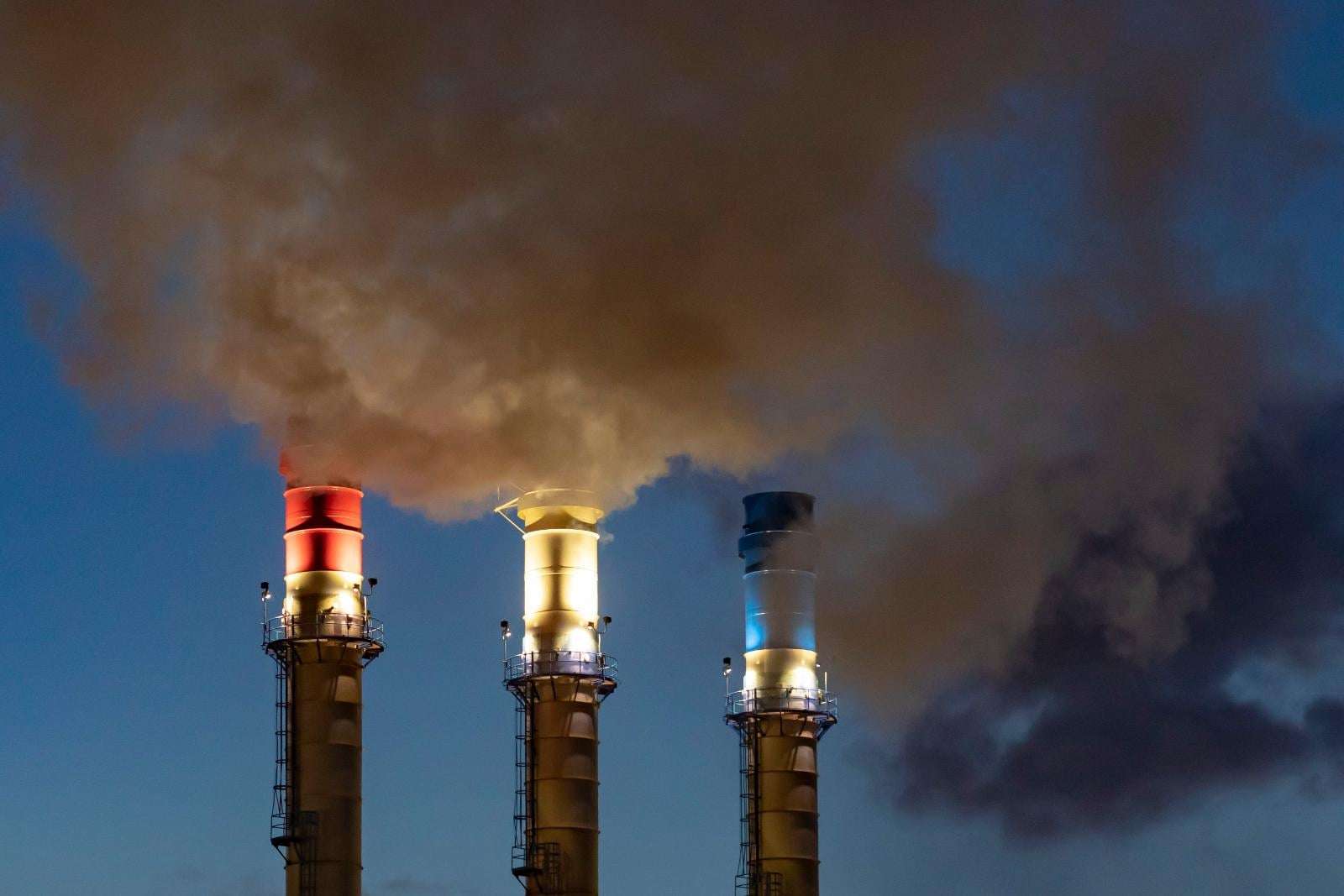 image for Despite Trump-era reversals, 2025 still saw environmental wins. Here are 7 worth noting.