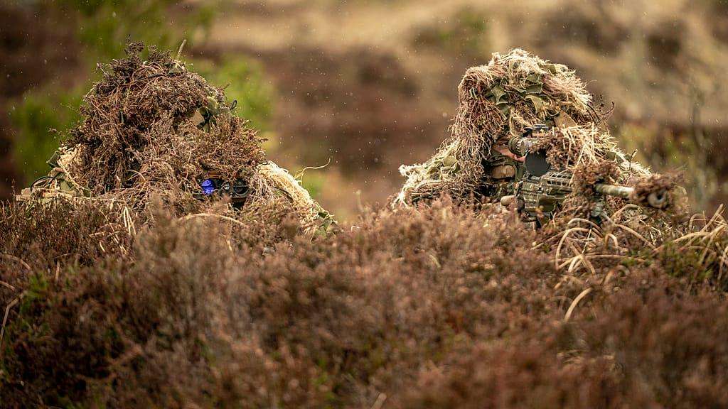 image for Danish soldiers would shoot back if invaded, government confirms