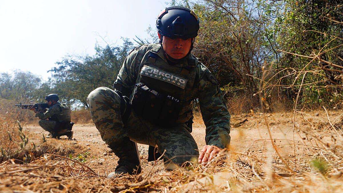 image for Trump says US to 'start now hitting land' in Mexico targeting drug cartels