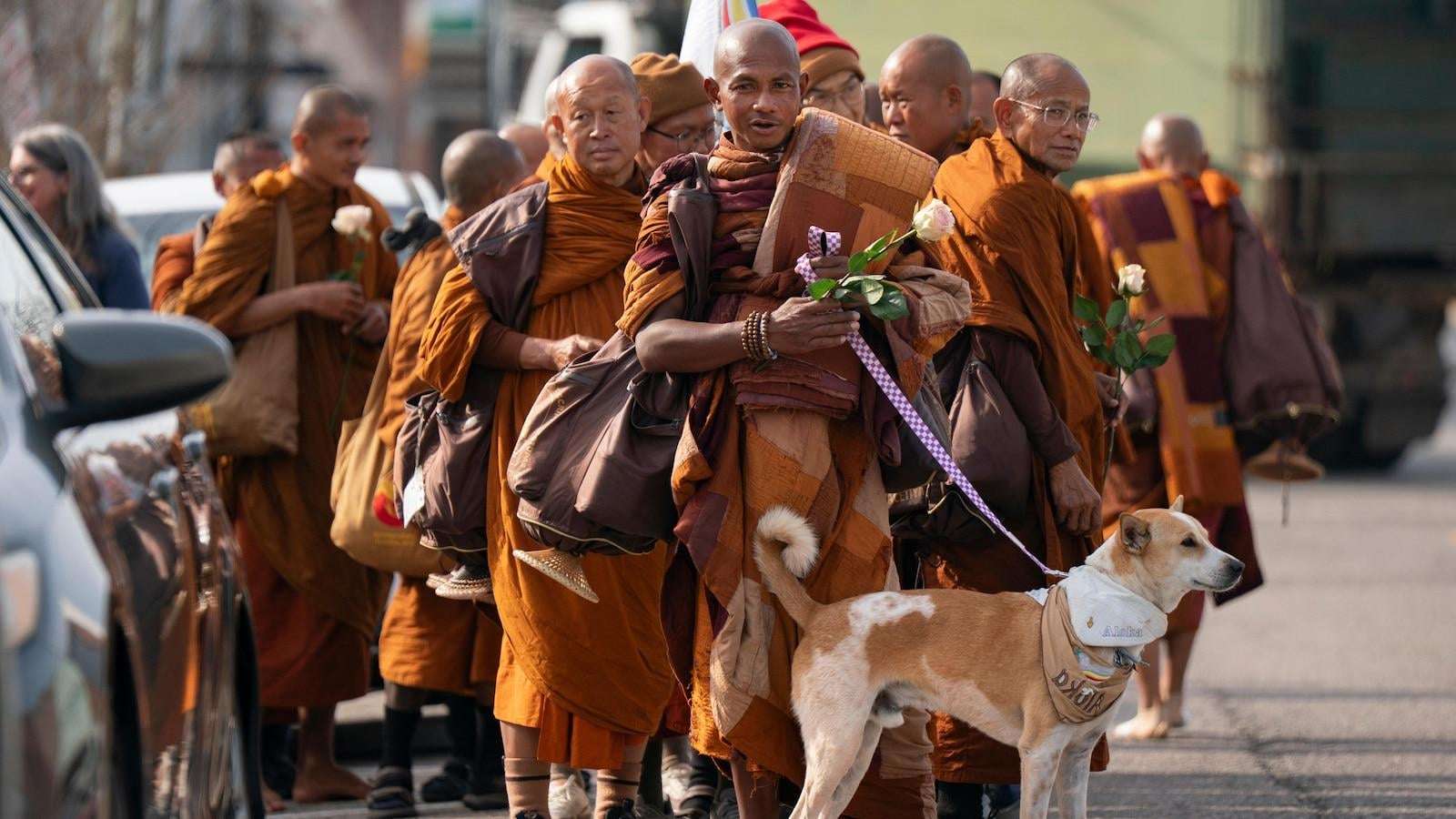 image for Buddhist monks and their dog captivate Americans while walking for peace