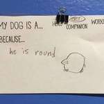 image for Kid who visited the vet