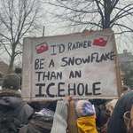 image for I'd rather be a Snowflake than an ICEhole