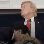 image for No one’s looking, Rubio