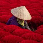 image for Incense factory in Hanoi, Vietnam