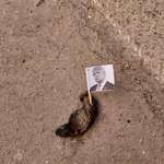 image for Cousin found this near her house (in France) [OC]