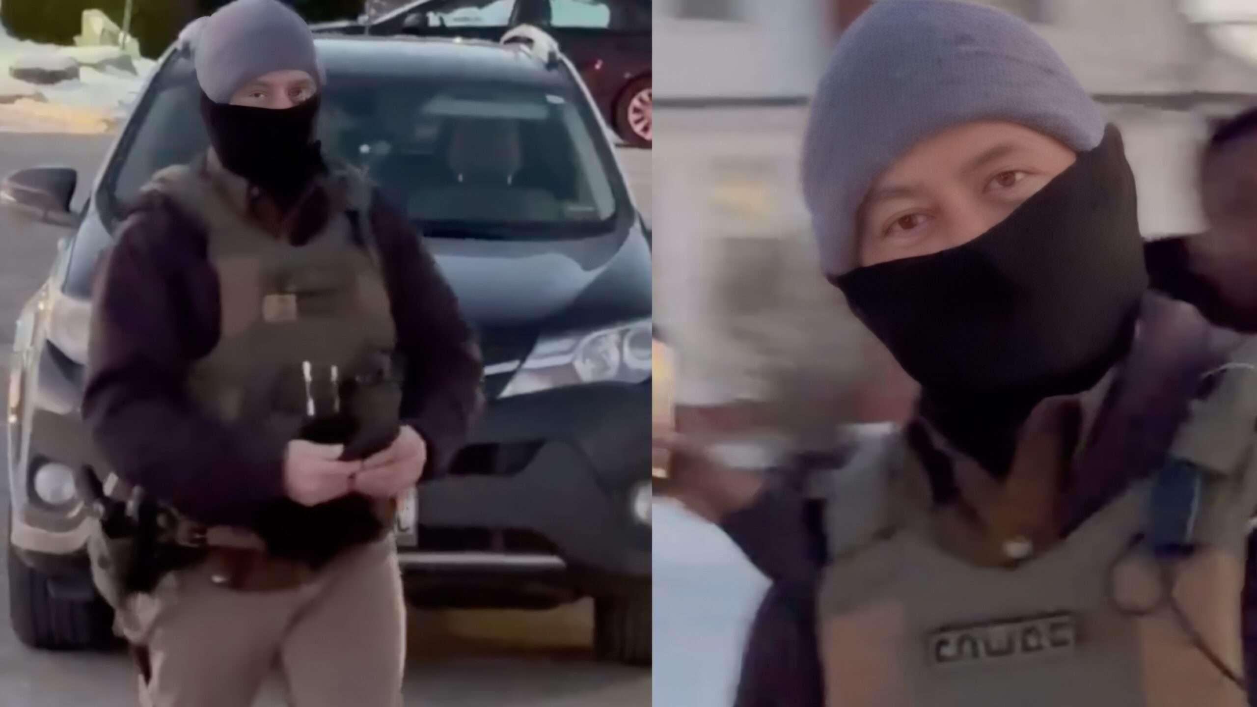 image for ICE Tells Legal Observer, 'We Have a Nice Little Database, and Now You're Considered a Domestic Terrorist'