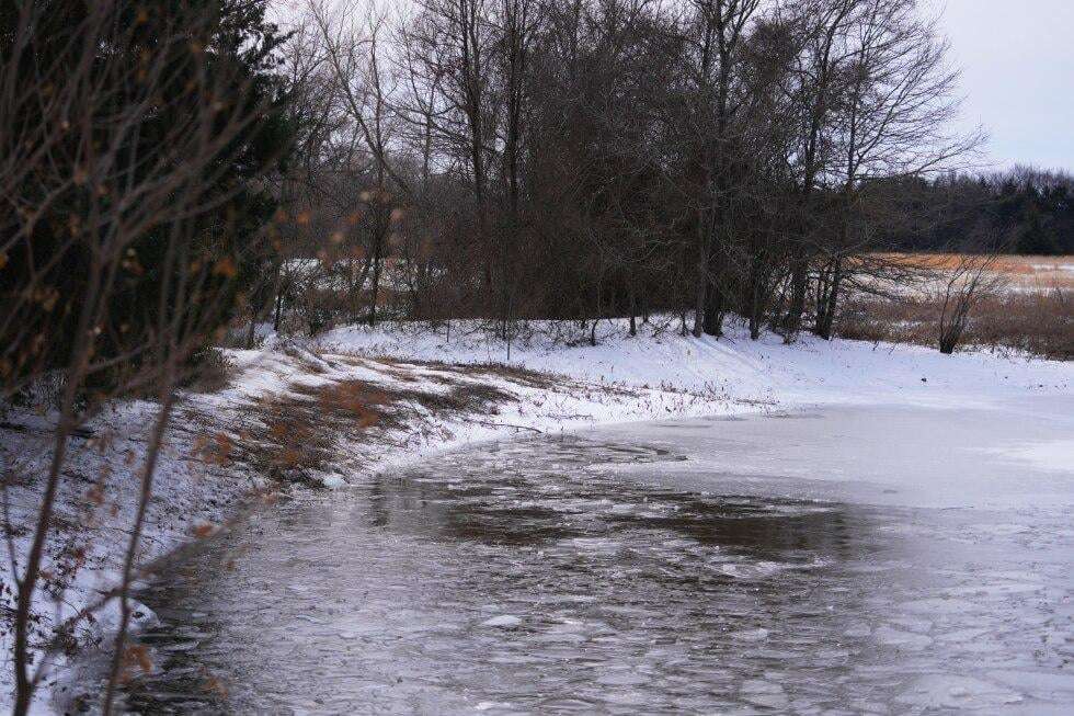 image for ‘They were just screaming.’ Mom unable to save 3 sons who fell through icy pond in Texas