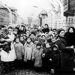 image for Auschwitz-Birkenau was liberated 81 years ago today