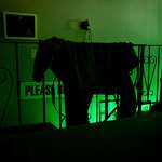 image for Tossed my hoodie on a railing last night. Was startled awake today by the sleep paralysis donkey.