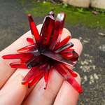 image for [OC] I grew this potassium ferricyanide crystal at home