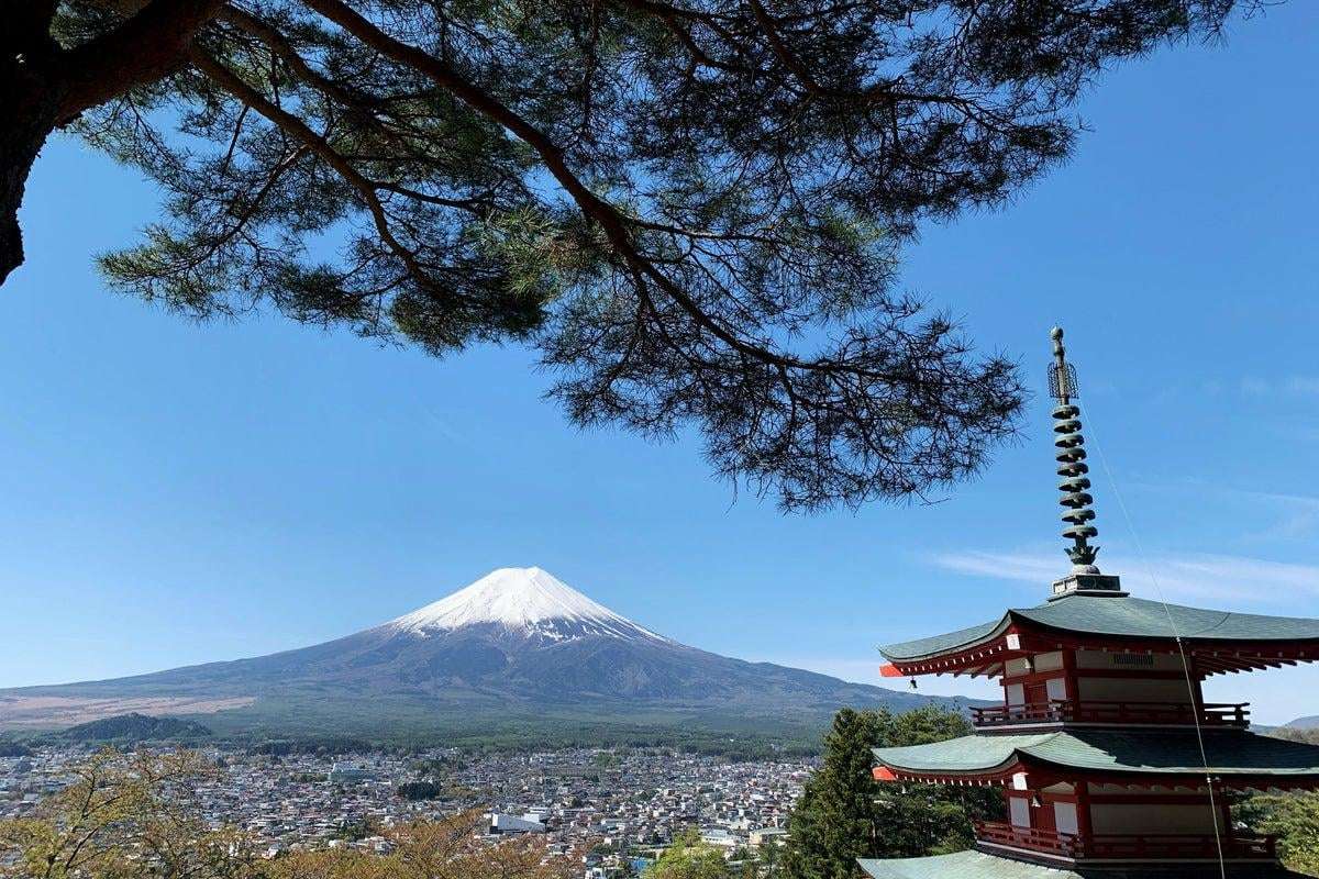 image for Mount Fuji cherry blossom festival cancelled over fears of visitors behaving badly