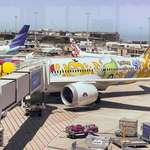 image for Pokemon themed plane at Melbourne Airport. Not a single Pokemon on it that can learn Fly. doomed.