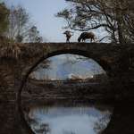 image for OC - The Man & His Buffalo - China, 2026.