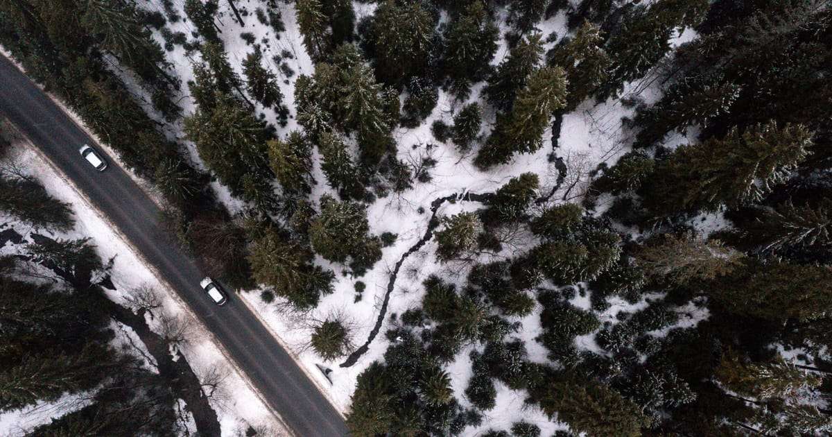 image for Obsession with growth is destroying nature, 150 countries warn