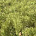 image for OC: Happy Sugar Cane at the Super Bowl
