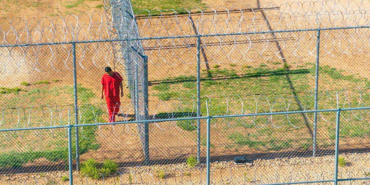 image for US Military Helping Trump to Build Massive Network of ‘Concentration Camps,’ Navy Contract Reveals