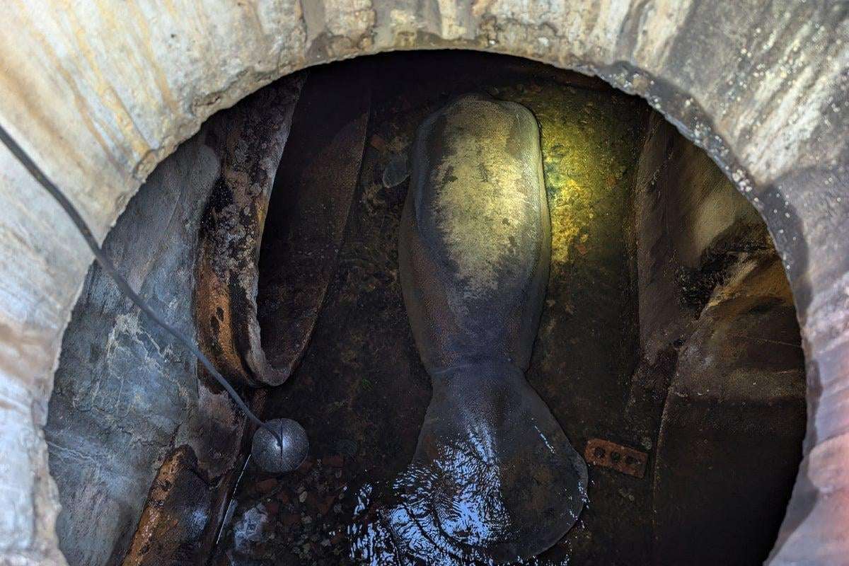 image for A 410-pound manatee rescued from a Florida storm drain is now recovering at SeaWorld Orlando