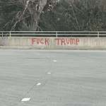 image for Seen in San Jose, CA